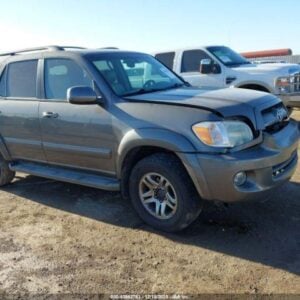 2007 TOYOTA SEQUOIA HOOD - 1004566678