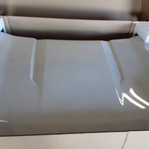 2021 FORD FORD_F150_PICKUP HOOD - 1003670074