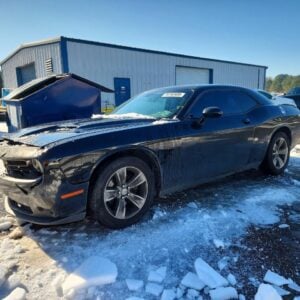 2019 DODGE CHALLENGER DOOR GLASS FRONT - 1004594360