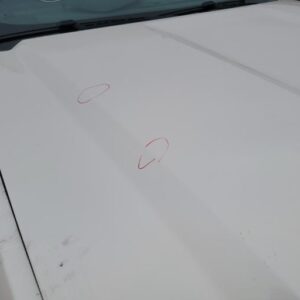 2014 GMC SIERRA_1500_PICKUP HOOD - 1004557716