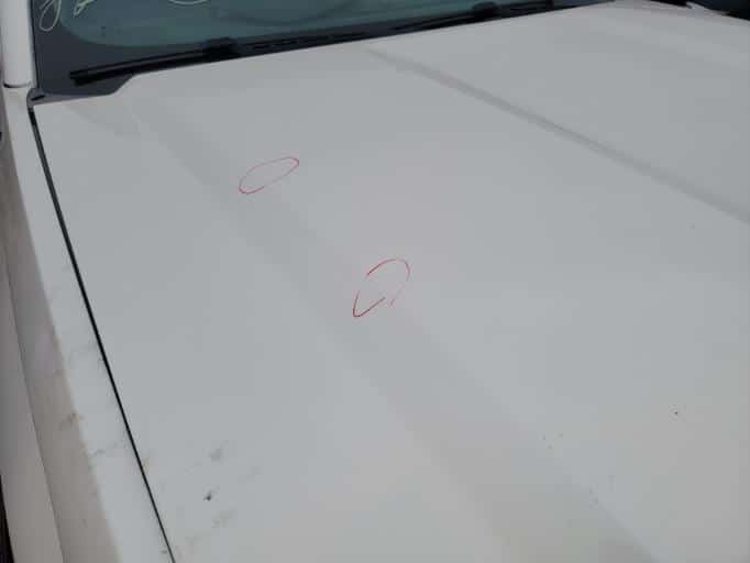 2014 GMC SIERRA_1500_PICKUP HOOD - 1004557716