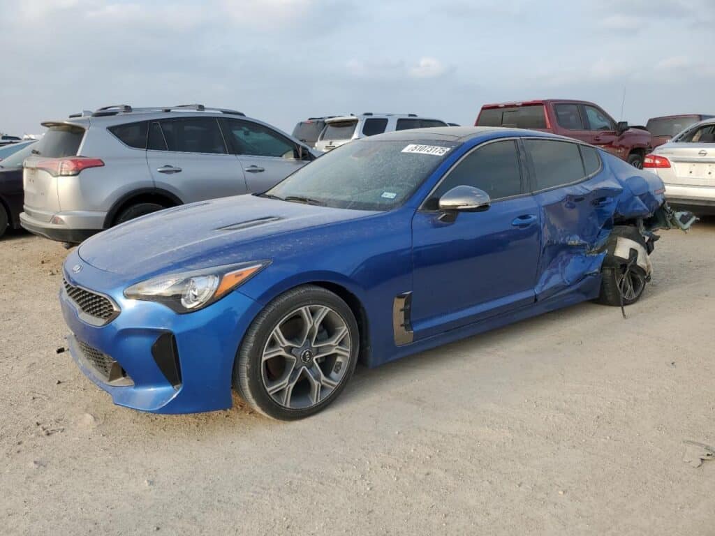 2020 KIA STINGER DOOR ASSEMBLY FRONT - 1004306141