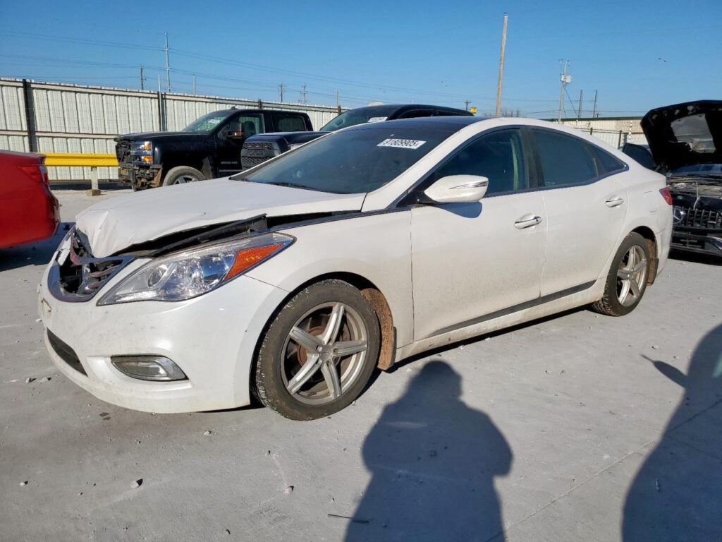 2014 HYUNDAI AZERA DOOR ASSEMBLY FRONT - 1004532382
