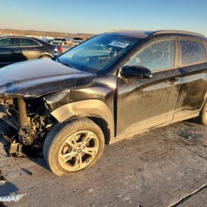 2023 HYUNDAI KONA TRANSFER CASE ASSEMBLY - 1004608050