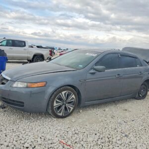 2006 ACURA TL DOOR ASSEMBLY FRONT - 1004595842