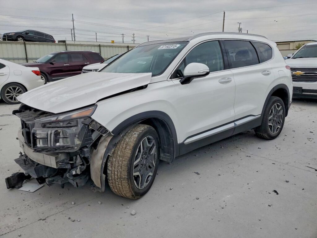 2021 HYUNDAI SANTA_FE ROOF GLASS - 1004554203