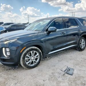 2020 HYUNDAI PALISADE HOOD - 1004469917