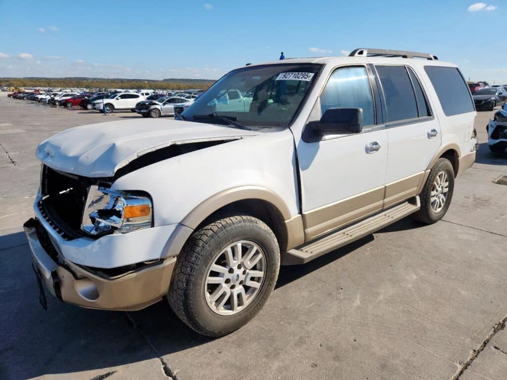 2011 FORD EXPEDITION BACK GLASS - 1004509844