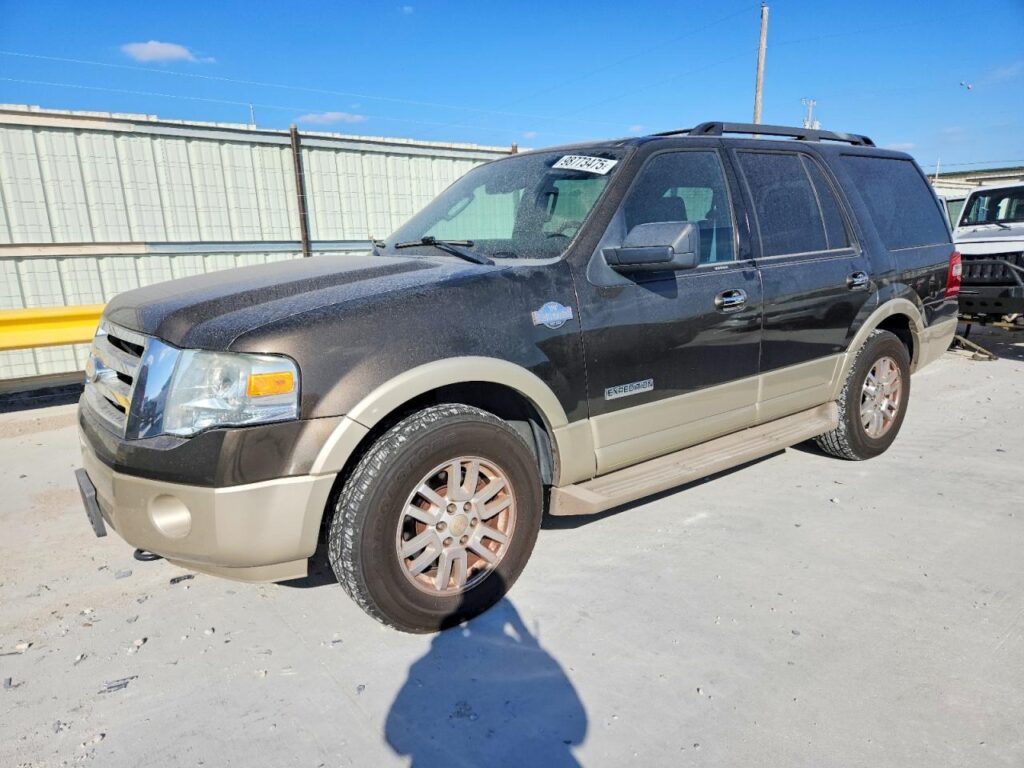 2008 FORD EXPEDITION RUNNING BOARD - 1004551717